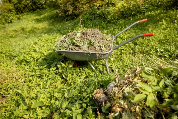 Sustainability news  